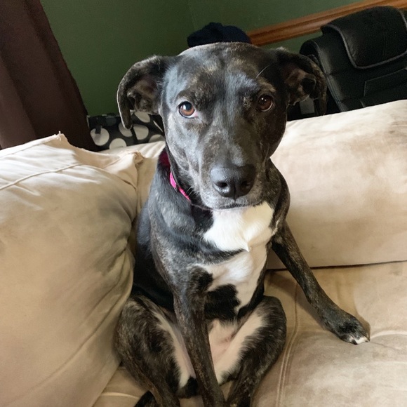 Meet your Posher, Jessica - Picture 1 of 1